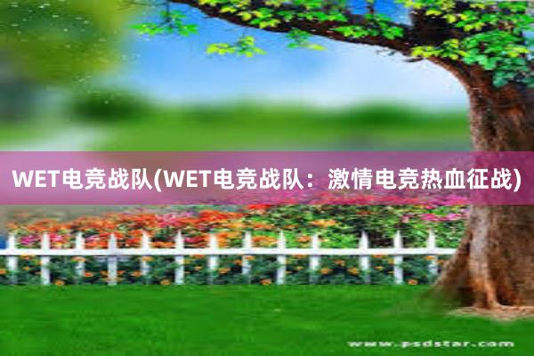 WET电竞战队(WET电竞战队：激情电竞热血征战)