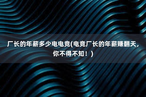 厂长的年薪多少电电竞(电竞厂长的年薪赚翻天，你不得不知！)