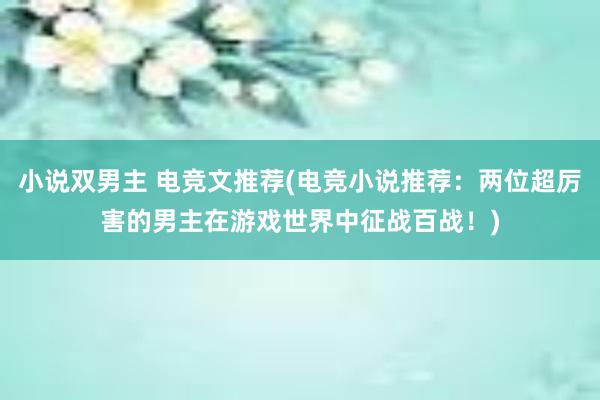 小说双男主 电竞文推荐(电竞小说推荐：两位超厉害的男主在游戏世界中征战百战！)