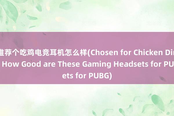 推荐个吃鸡电竞耳机怎么样(Chosen for Chicken Dinner How Good are These Gaming Headsets for PUBG)