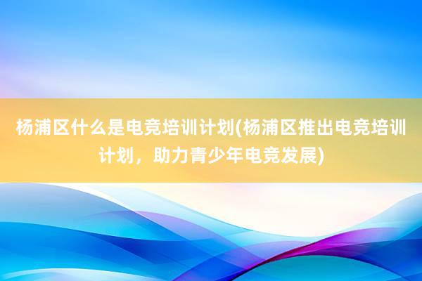 杨浦区什么是电竞培训计划(杨浦区推出电竞培训计划，助力青少年电竞发展)