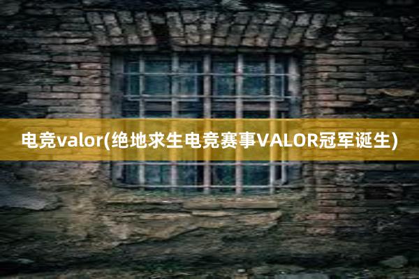 电竞valor(绝地求生电竞赛事VALOR冠军诞生)