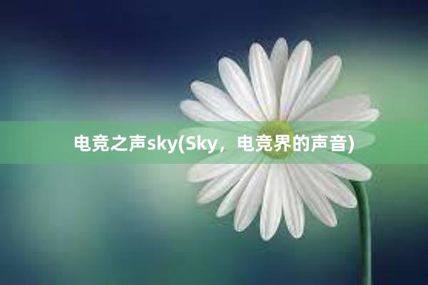 电竞之声sky(Sky，电竞界的声音)