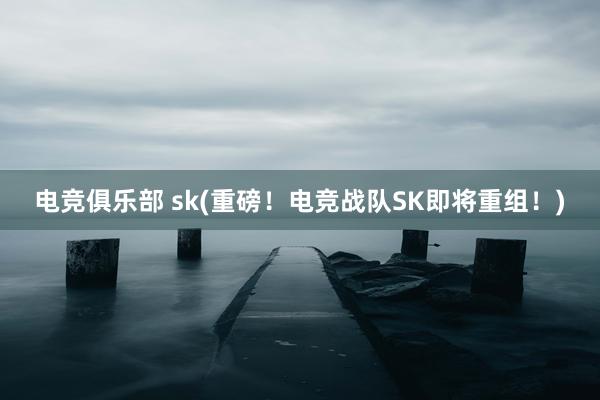 电竞俱乐部 sk(重磅！电竞战队SK即将重组！)