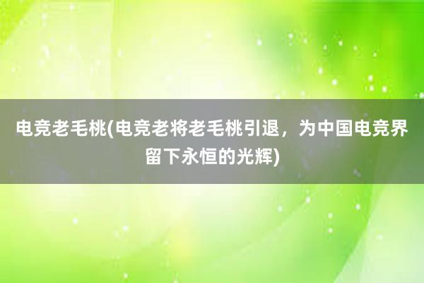 电竞老毛桃(电竞老将老毛桃引退，为中国电竞界留下永恒的光辉)