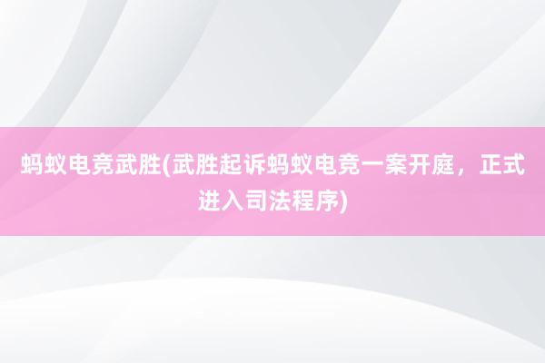 蚂蚁电竞武胜(武胜起诉蚂蚁电竞一案开庭，正式进入司法程序)