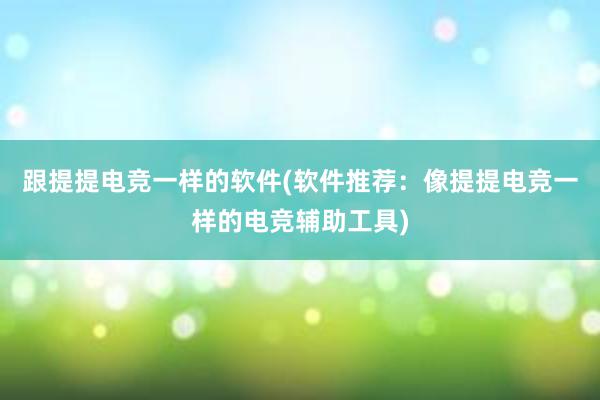 跟提提电竞一样的软件(软件推荐：像提提电竞一样的电竞辅助工具)