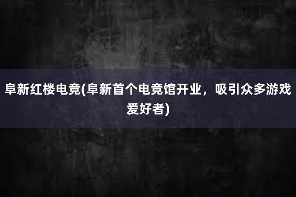 阜新红楼电竞(阜新首个电竞馆开业，吸引众多游戏爱好者)