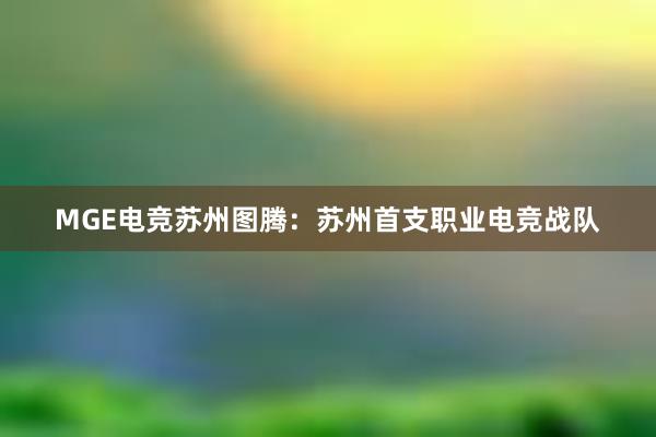 MGE电竞苏州图腾：苏州首支职业电竞战队