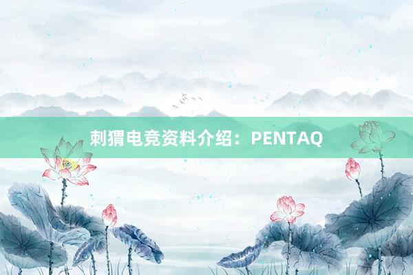 刺猬电竞资料介绍：PENTAQ