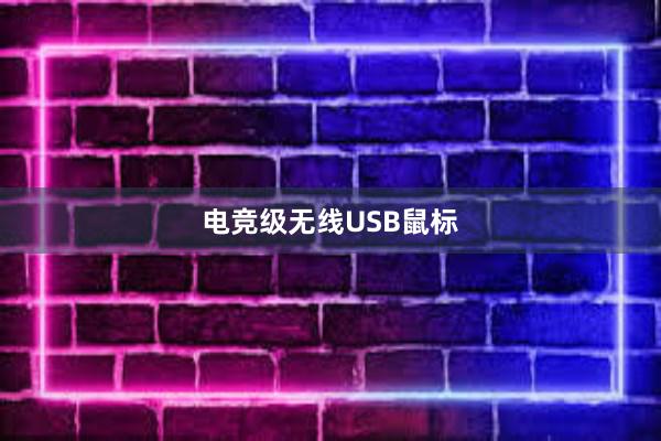 电竞级无线USB鼠标