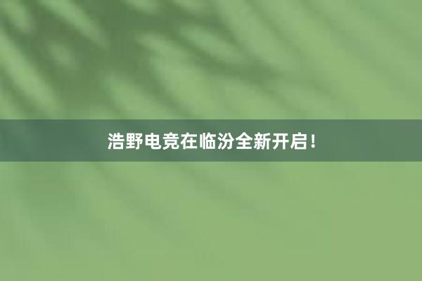 浩野电竞在临汾全新开启！