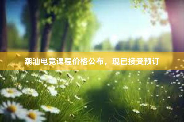 潮汕电竞课程价格公布，现已接受预订