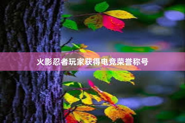 火影忍者玩家获得电竞荣誉称号