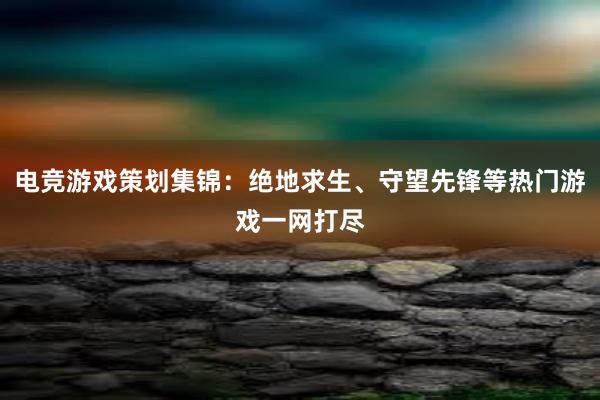 电竞游戏策划集锦：绝地求生、守望先锋等热门游戏一网打尽