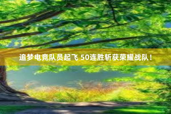 追梦电竞队员起飞 50连胜斩获荣耀战队！