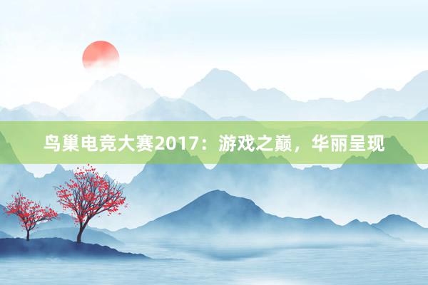 鸟巢电竞大赛2017：游戏之巅，华丽呈现